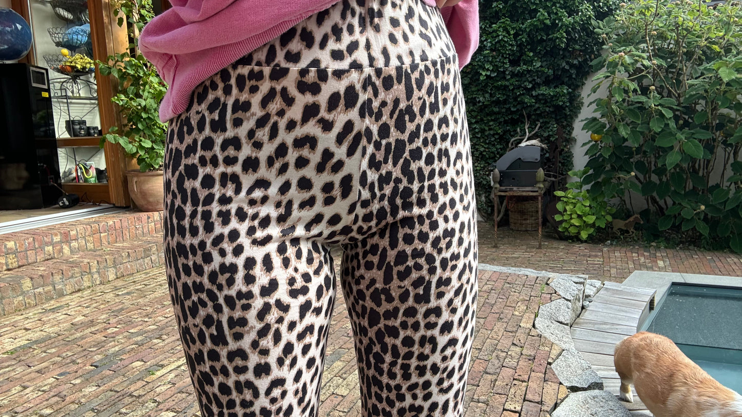 Leggins: Leobaby